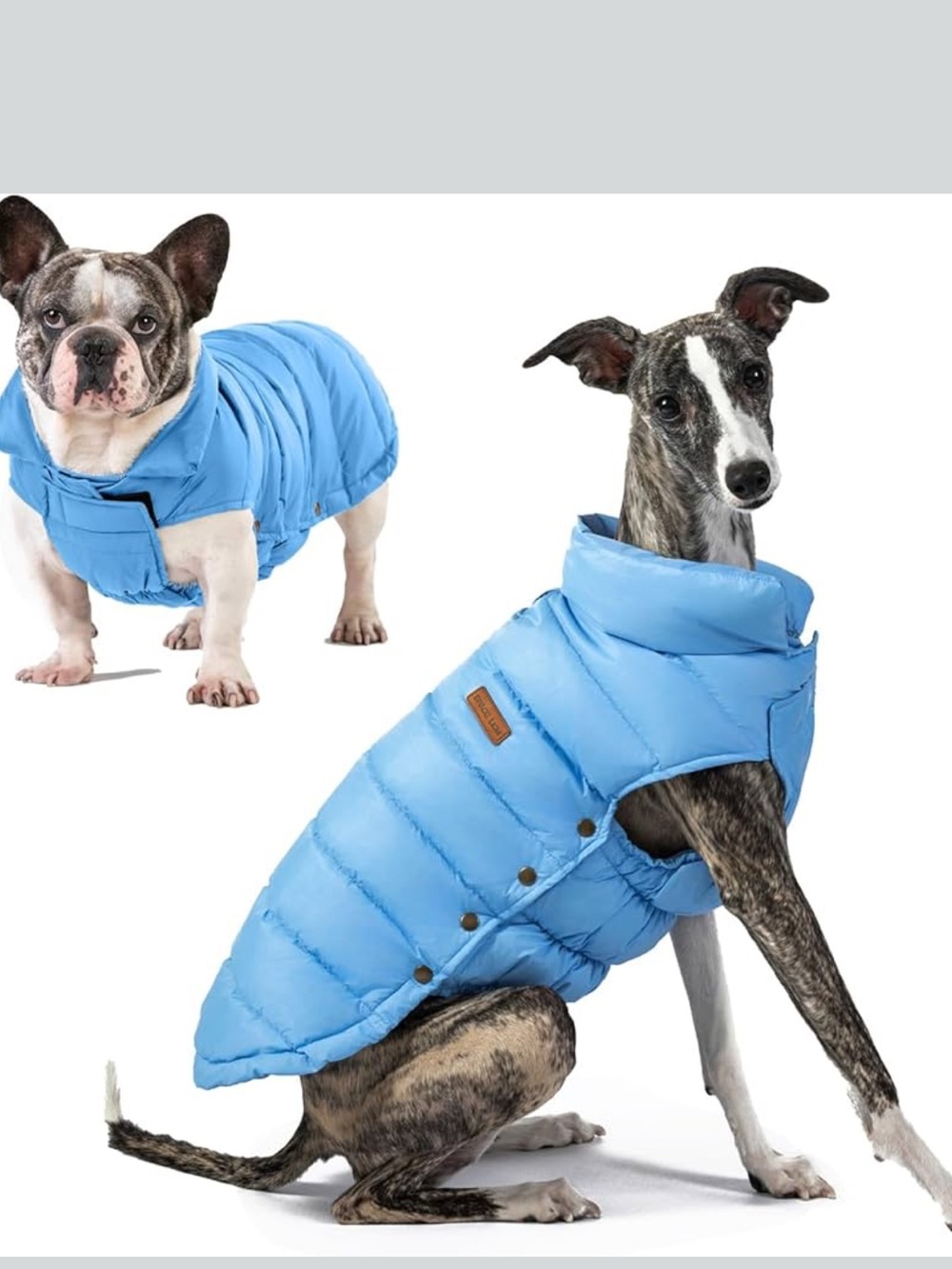 New Blue SPACE LION Dog Puffer Jacket, Duck Down Winter Coat-Medium